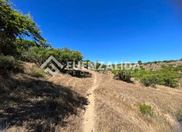 Agrícola en venta en Melipilla San Pedro