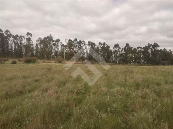 Parcela en venta en Litueche