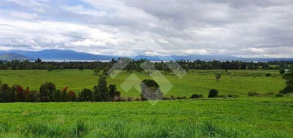 Parcela en venta en Río Bueno