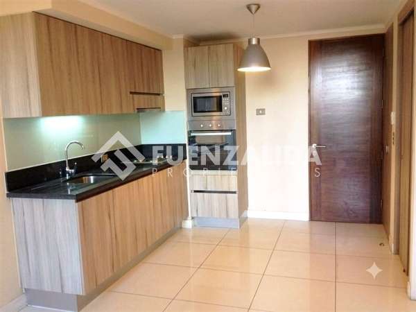 1 Dorm., 1 Baño, Terraza, Calle Lord Cochrane, Metro Moneda