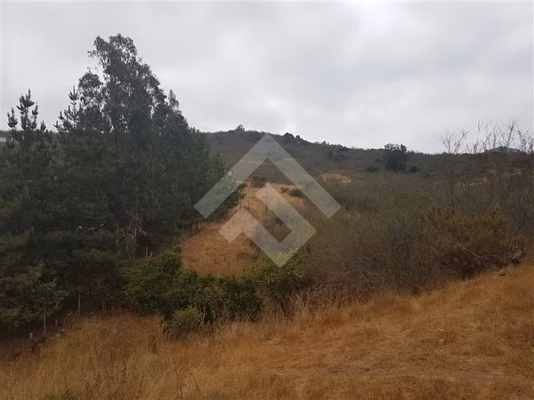 Sitio en Venta en Zapallar