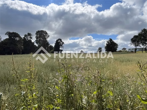 Sitio en venta de 3 Hectáreas con cabaña en Los Muermos