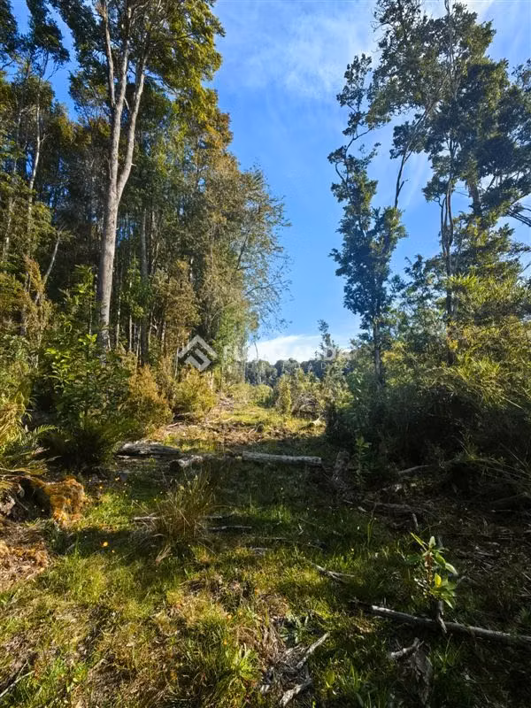 Parcela en venta en Altos de Lauca de Puerto Montt