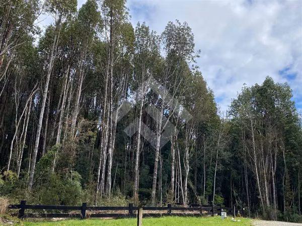 Parcela en venta Fundo Las Cumbre Puerto Varas