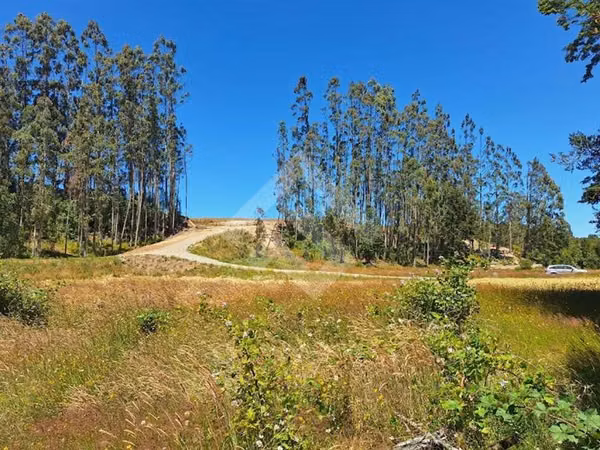 Parcela en venta en sector Nueva Braunau Puerto Varas