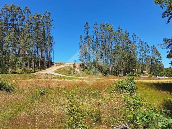 Parcela en venta en sector Nueva Braunau Puerto Varas