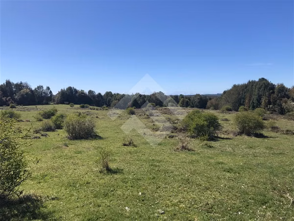 Campo de 46,4 hectáreas en sector Rio Negro, Quemchi