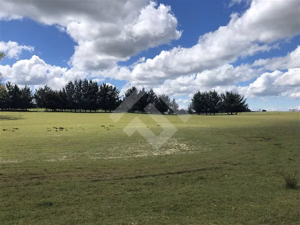 Campo de 4 hectáreas en Purranque