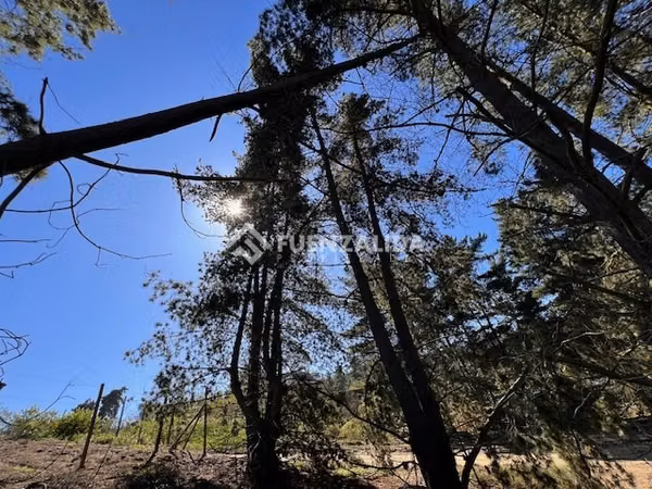 Sitio en venta en Sector Los Pinos -Reñaca