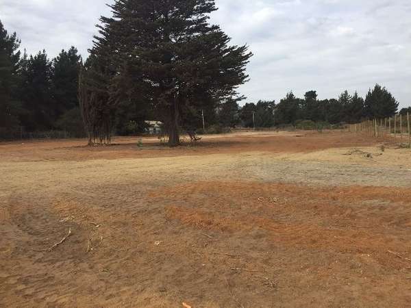 Industrial en Venta en Viña del Mar