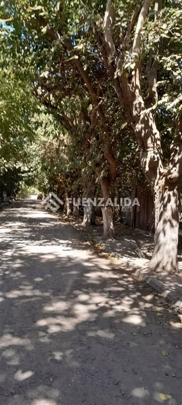 Sitio en venta, Lo Cañas, La Florida