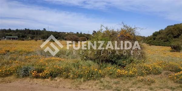 Sitio en venta en Mantagua con pozo y tendido eléctrico