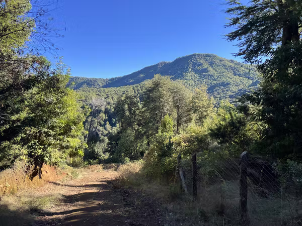 Vendo hermoso terreno, sector los Pellines, camino a las termas de Chillan