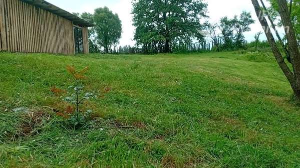 Parcela en venta en Parral