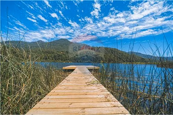 Parcelas en pucón con orilla laguna.