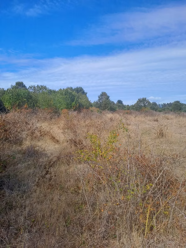en venta campo  Agricola ganadero