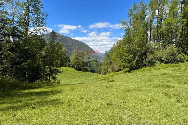 Terreno en venta curarrehue