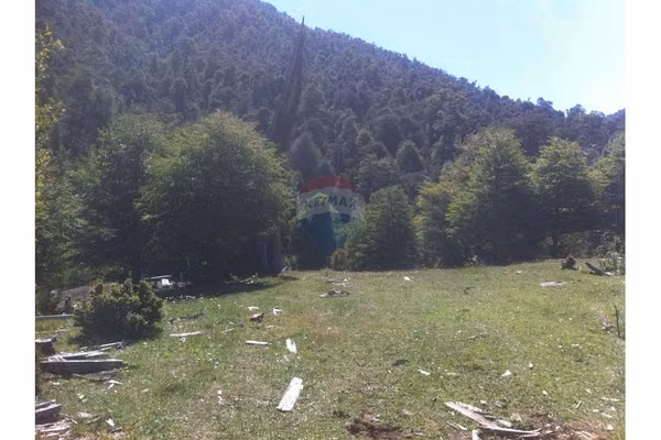 Campo en venta en pucón 300 hectáreas