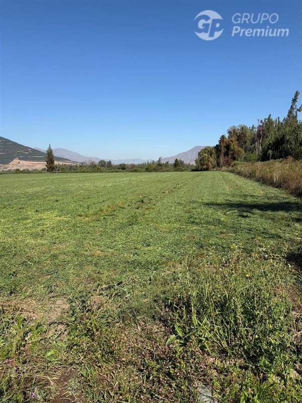Terreno Agrícola en venta, San Jose, Catemu