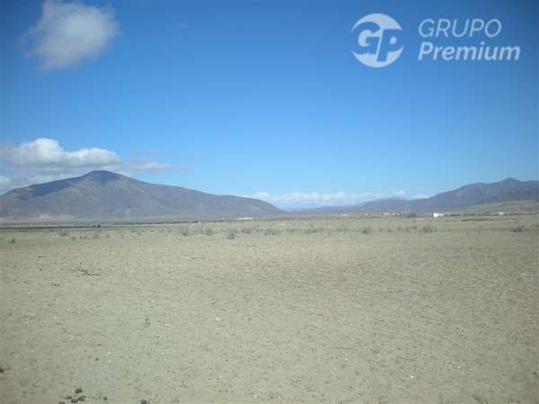 Parcela en venta de 5000 m2 en Los Choros La Higuera