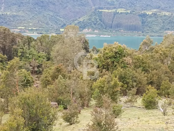¡Tu refugio natural sumergido en naturaleza y serenidad.
