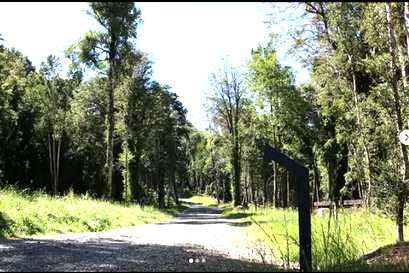Parcela con bosque a minutos de Puerto Varas! (157576)