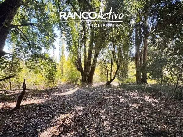Parcela en venta camino a Santa Juana - Palco Grande - km 17