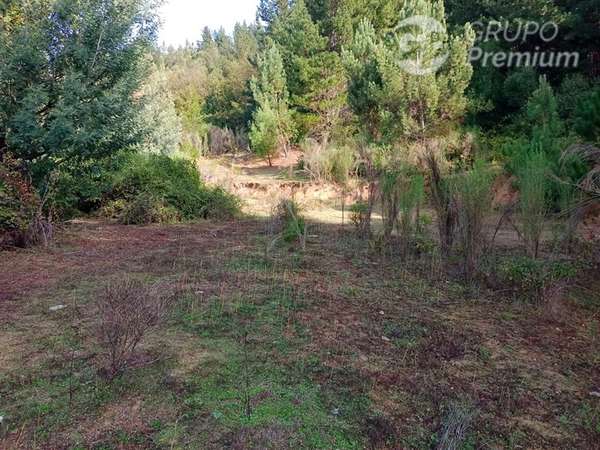 Sitio en venta en Quirihue