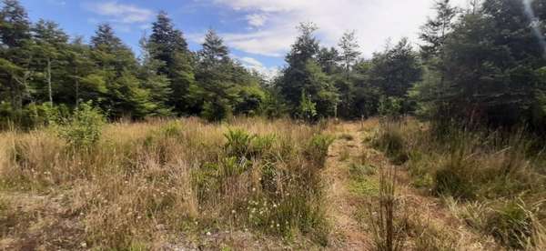 Parcela Parque el Tepual 5000m2