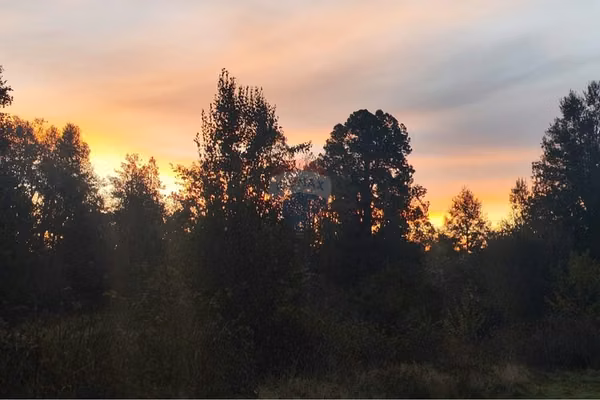 Parcela en huincara, villarrica