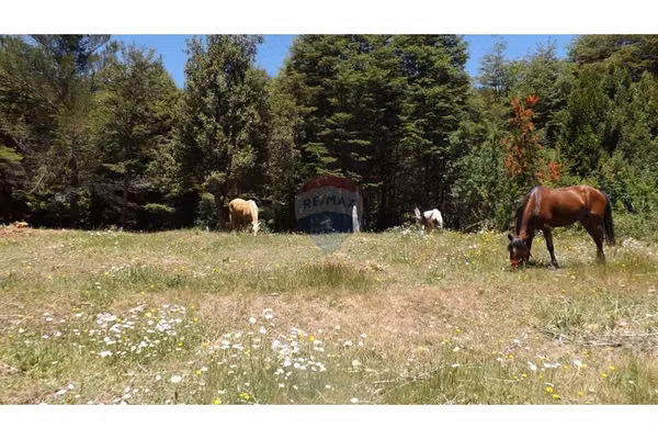 Campo en venta en pucón 200 hectáreas
