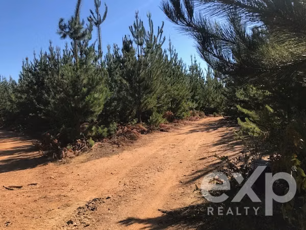 Terreno Construccion en venta en Constitución