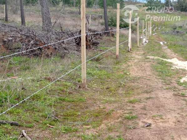 Parcela en venta en Ninhue