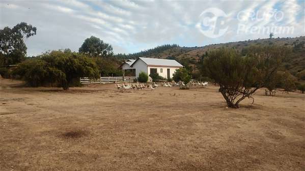 Parcela 2,39 ha, 2 casas, agua, naturaleza. Marchigue. Dueño