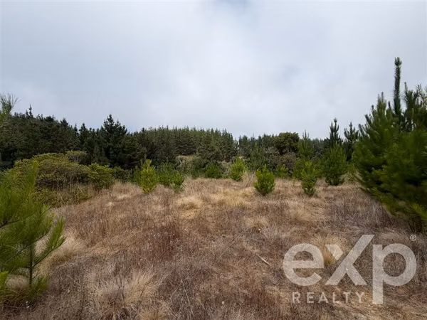 Vende Sitio 5104m2 en Pichilemu