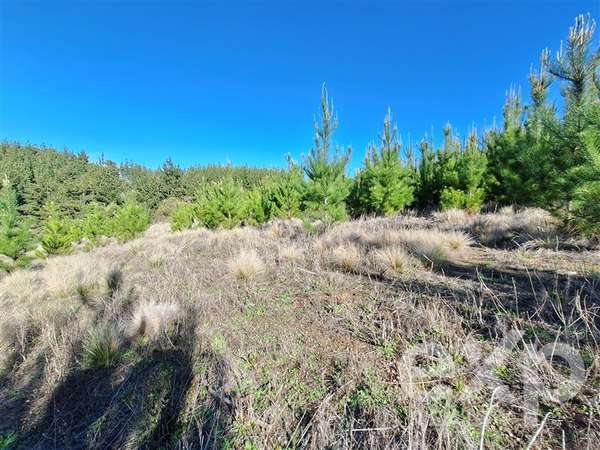 Vende Terreno 5104m2 en Pichilemu