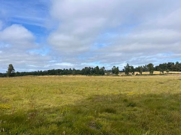 Parcela en Frutillar