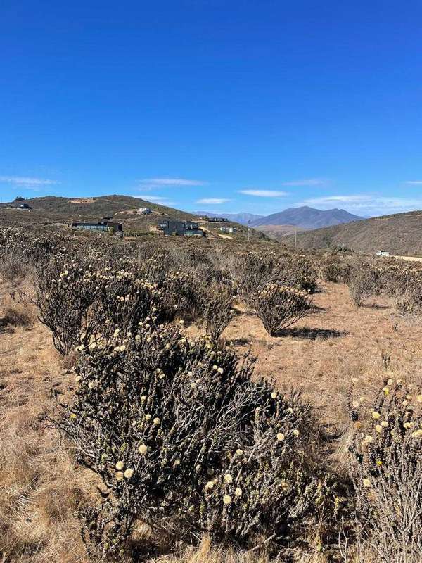 Sitio Ideal  Desarrollo Turistico Residencial (159819)