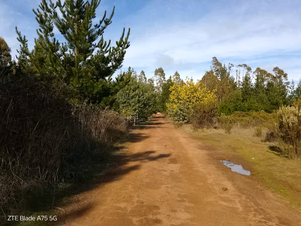 Parcela en Venta en bosque a 10 minutos de playa Puertecillo- Tucán