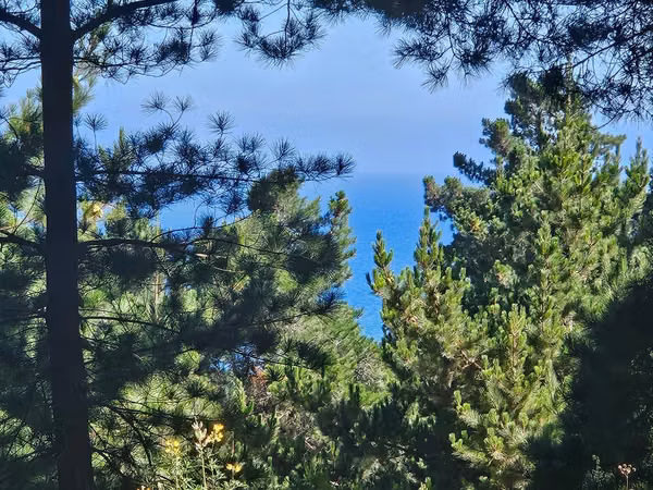 Terreno plano con vista al mar en Punta Puertecillo 5.600 m2.