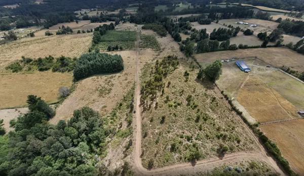 Terreno 184.891 m2 - Loncoche
