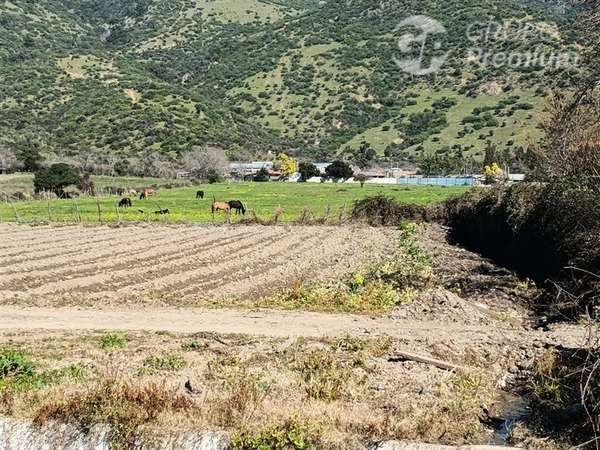 Venta Terreno Agrícola:36, 8 Has. en Lamarhue Pichidegua
