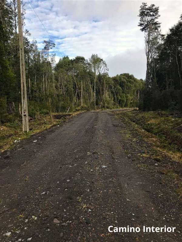 PARCELA 5100 M2 EN VENTA, CON BOSQUE NATIVO, PUERTO VARAS