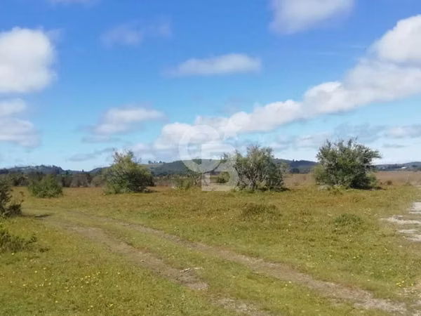 En venta parcela sector El Rulo, cerca de Calbuco