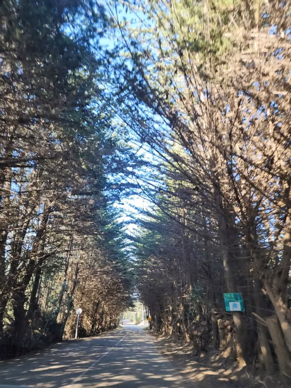 Terreno Sector El Molino, Pichilemu