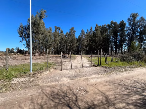 PERALILLO HERMOSO TERRENO DE 8.400 MTRS2