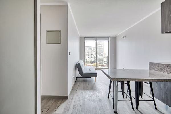 Vicuña Urban [1322-16]