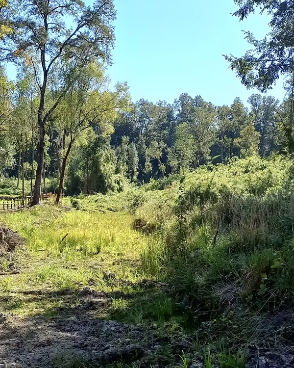 Hermosa parcela en Condominio Los Robles – Sector Cayumapu, Valdivia