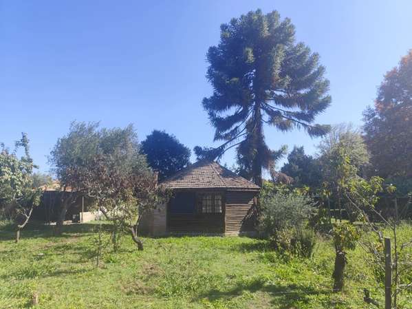 EN Venta Parcela de 1 hectárea con casa en la Punt