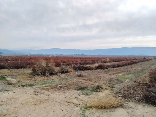 CAMPO 18 HA PLANO AGUA BUEN ACCESO SAGRADA FAMILIA